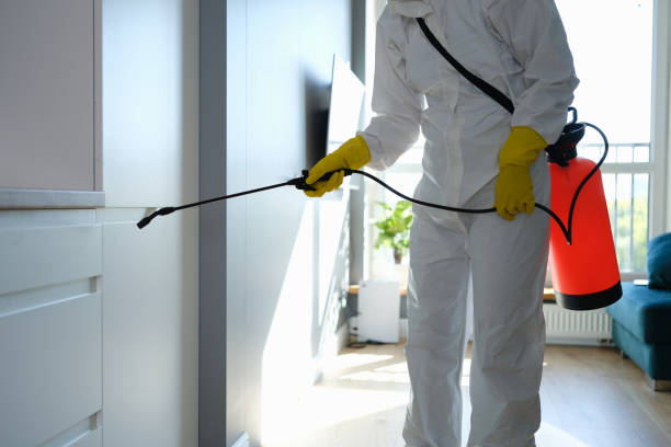 Best Commercial Mold Remediation in Harkers Island, NC