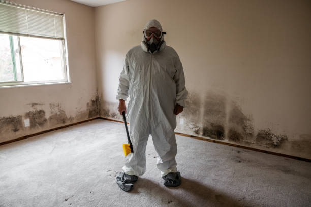 Best Residential Mold Remediation in Harkers Island, NC