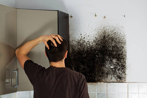 Best Preventive Mold Services in Harkers Island, NC